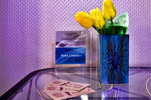 EXPO Hotel Comfort 22