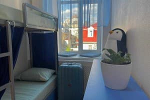 Хостел on Universytet. Место в женском 4-местном номере  1
